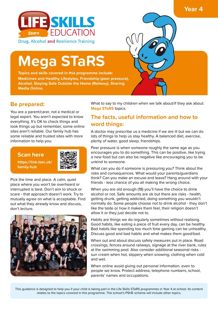 Preview of the Mega STaRS Year 4 guidance sheet